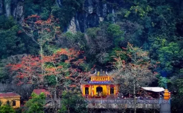 Bộ ảnh chùa cổ kính tại Việt Nam, với Chùa Hương là biểu tượng lịch sử và văn hóa đầy hấp dẫn.