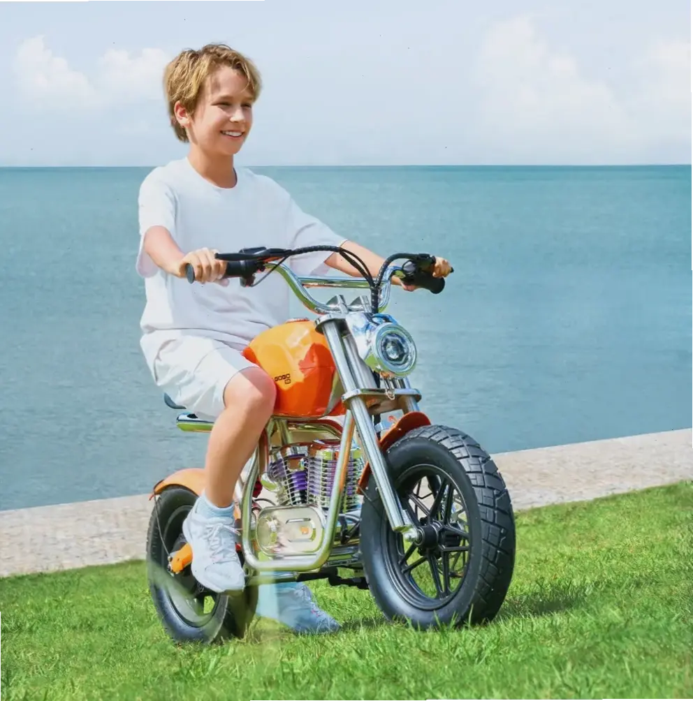 Tận hưởng quãng đường dài nhờ DK Bike Gogo Battery Range, pin bền bỉ và đáng tin cậy!
