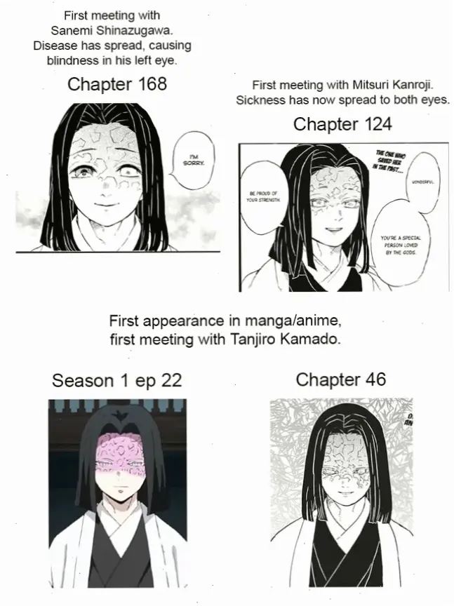 Demon Slayer Kagaya, vai trò lãnh đạo xuất sắc, làm nên những khoảnh khắc đỉnh cao trong anime.