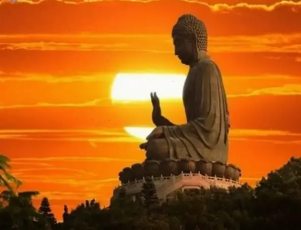 A Di Đà tại chùa trên đảo, nơi linh thiêng hội tụ, giúp bạn tìm thấy sự thanh tịnh và từ bi.