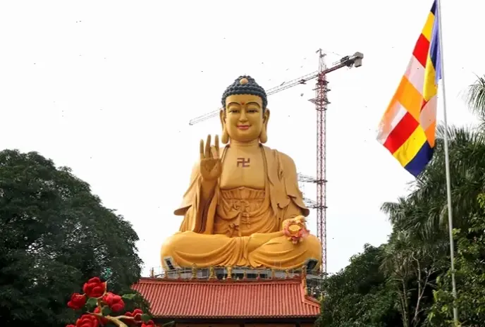 Ánh sáng huyền bí của A Di Đà dẫn dắt đến cõi bình an, khơi dậy sức mạnh nội tại và sự thanh tịnh.