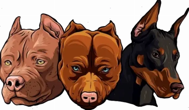 Khám Phá Ngay Avatar Chó Pit Bull Hấp Dẫn Và Độc Nhất!