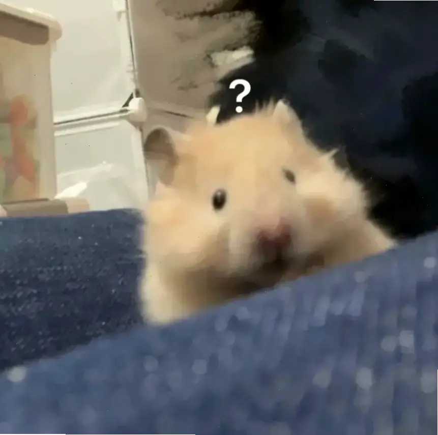 Khám phá Avatar Hamster Cute – Siêu đáng yêu vô cùng!