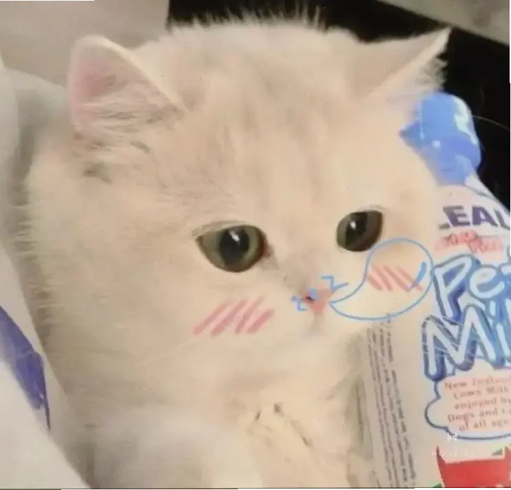 Avatar Mèo Vô Tri Cute: Độc đáo, dễ thương! Khám phá ngay!