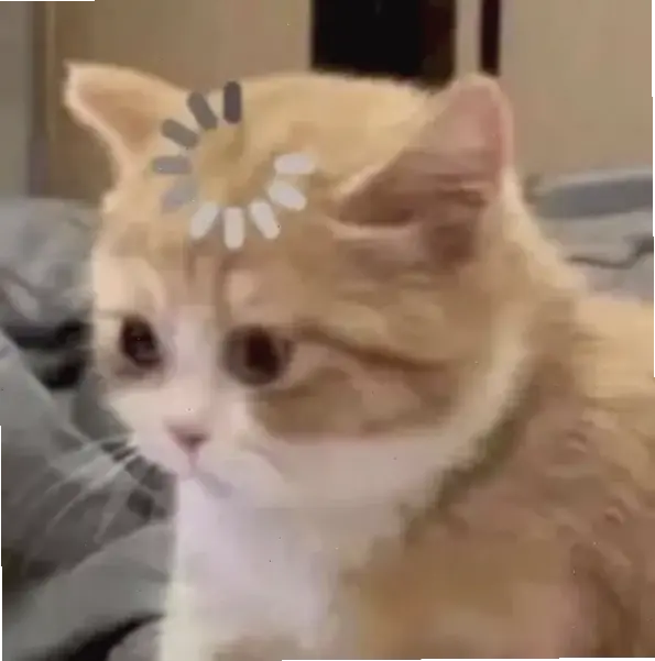 Avatar mèo vô tri ngầu: Sự kết hợp cool hài hước, khiến bạn không thể rời mắt! 😎