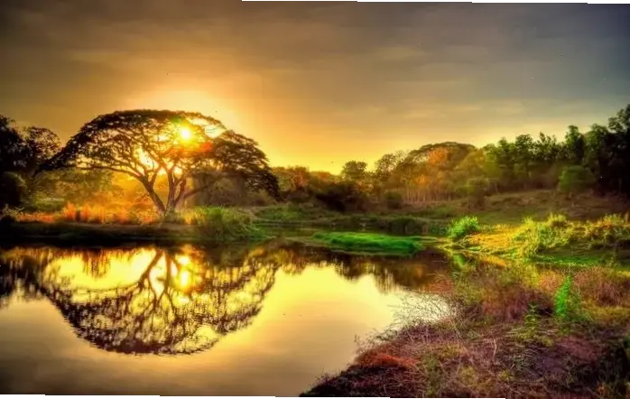 Khám Phá Avatar Thiên Nhiên Đẹp, Độc Đáo Và Hấp Dẫn Ngay!