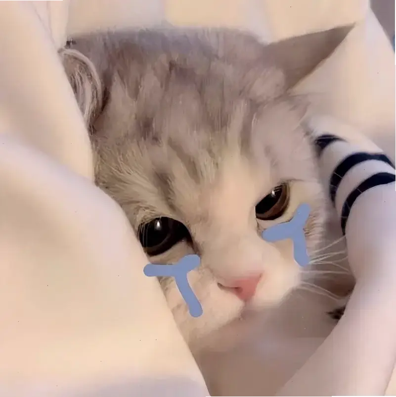 Avatar mèo meme vô tri: Sự ngớ ngẩn dễ thương khiến bạn cười nghiêng ngả, biến mọi ngày thành niềm vui bất tận!