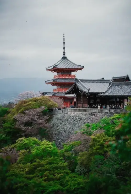 Ban đêm, chùa Phật tỏa sáng huyền ảo, mời gọi bạn khám phá sự tĩnh lặng và sâu lắng của tâm hồn.