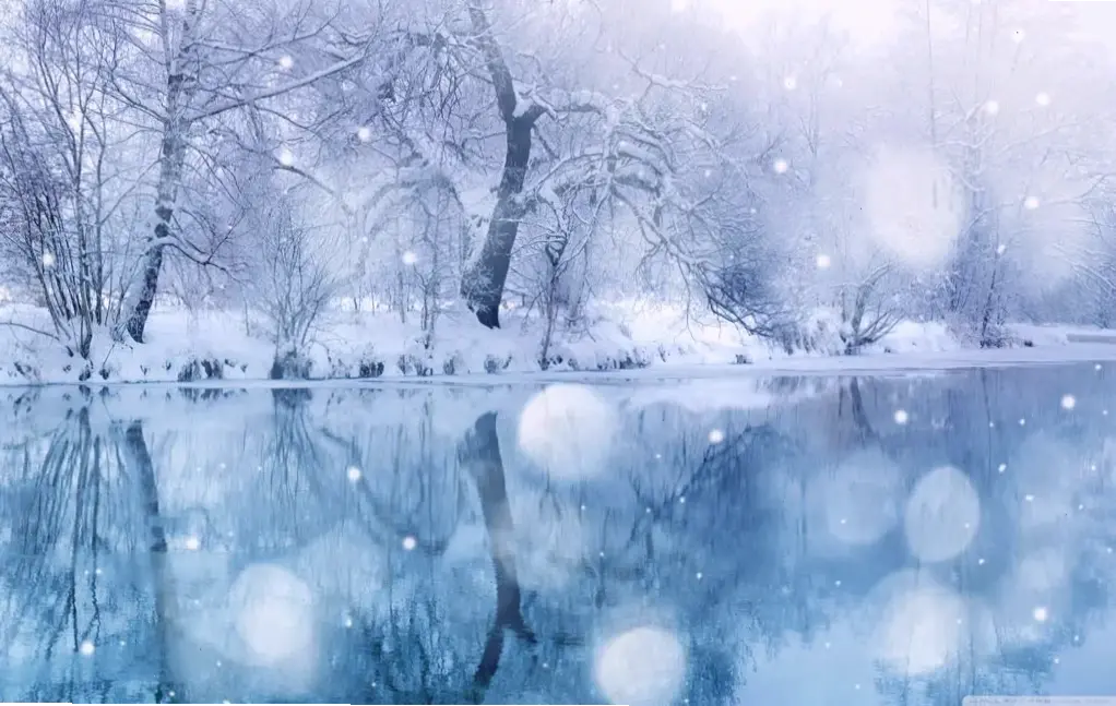 Bình minh tuyết rơi dịu dàng, ánh nắng đầu ngày chiếu qua tuyết, khơi dậy sự khởi đầu tươi mới và huyền ảo.