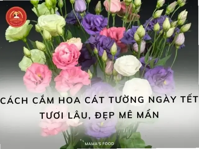 Bó hoa cát tường – món quà ý nghĩa, thể hiện sự quan tâm và lời chúc may mắn cho người thân yêu trong mọi khoảnh khắc.