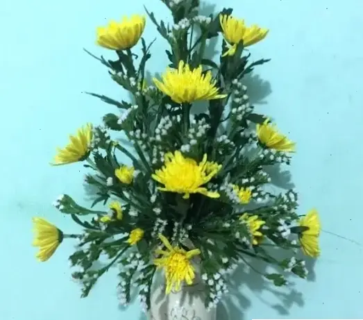 Bó hoa cúc vàng rạng rỡ, tượng trưng cho sự thịnh vượng, hoàn hảo cho dịp lễ hội và quà tặng.