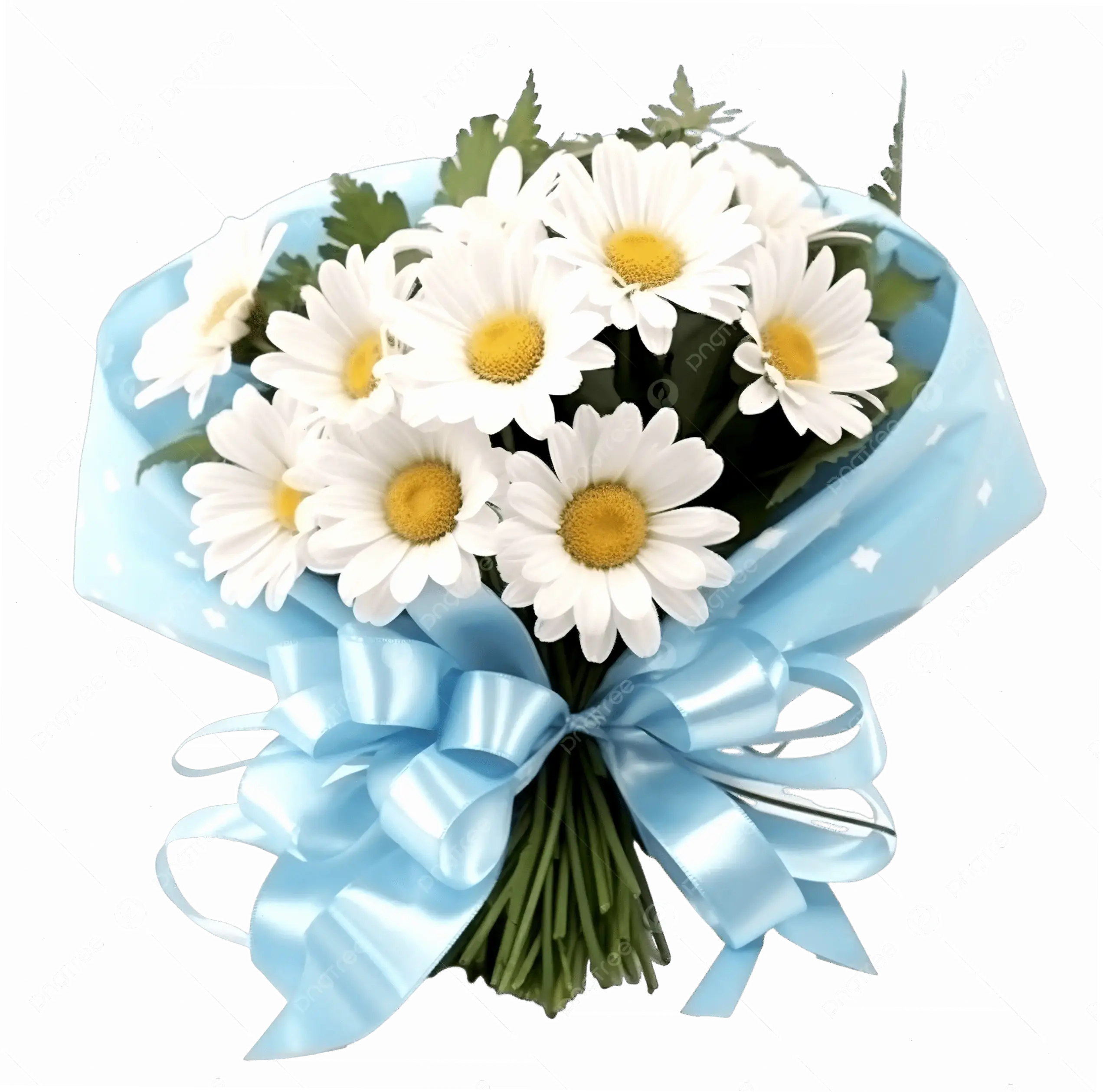 Bó hoa cúc xinh xắn để tặng người thân, mang theo thông điệp yêu thương chân thành.