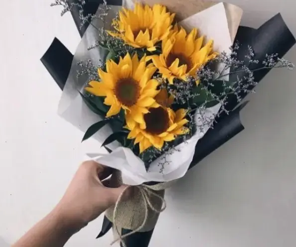 Bó hoa hướng dương Đà Lạt: Món quà tươi thắm, lan tỏa hương sắc thiên nhiên và niềm vui giản dị.