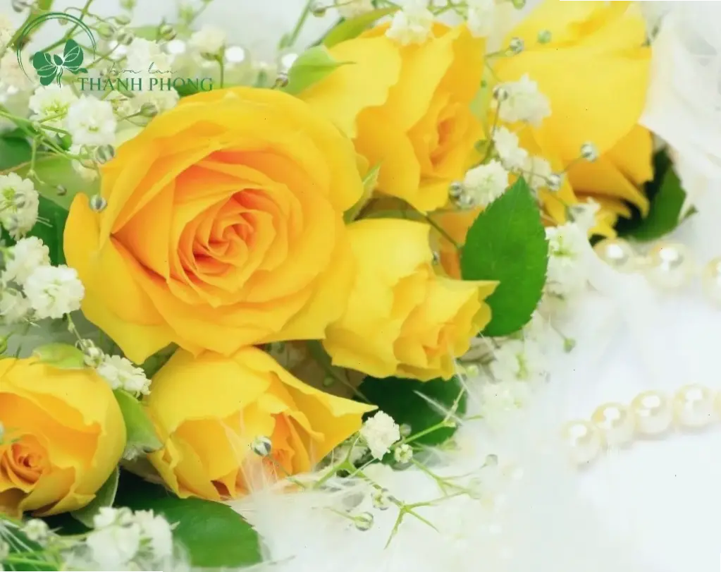 Bó hoa lan xinh đẹp dành tặng lời chúc mừng ấm áp và thành công lớn.