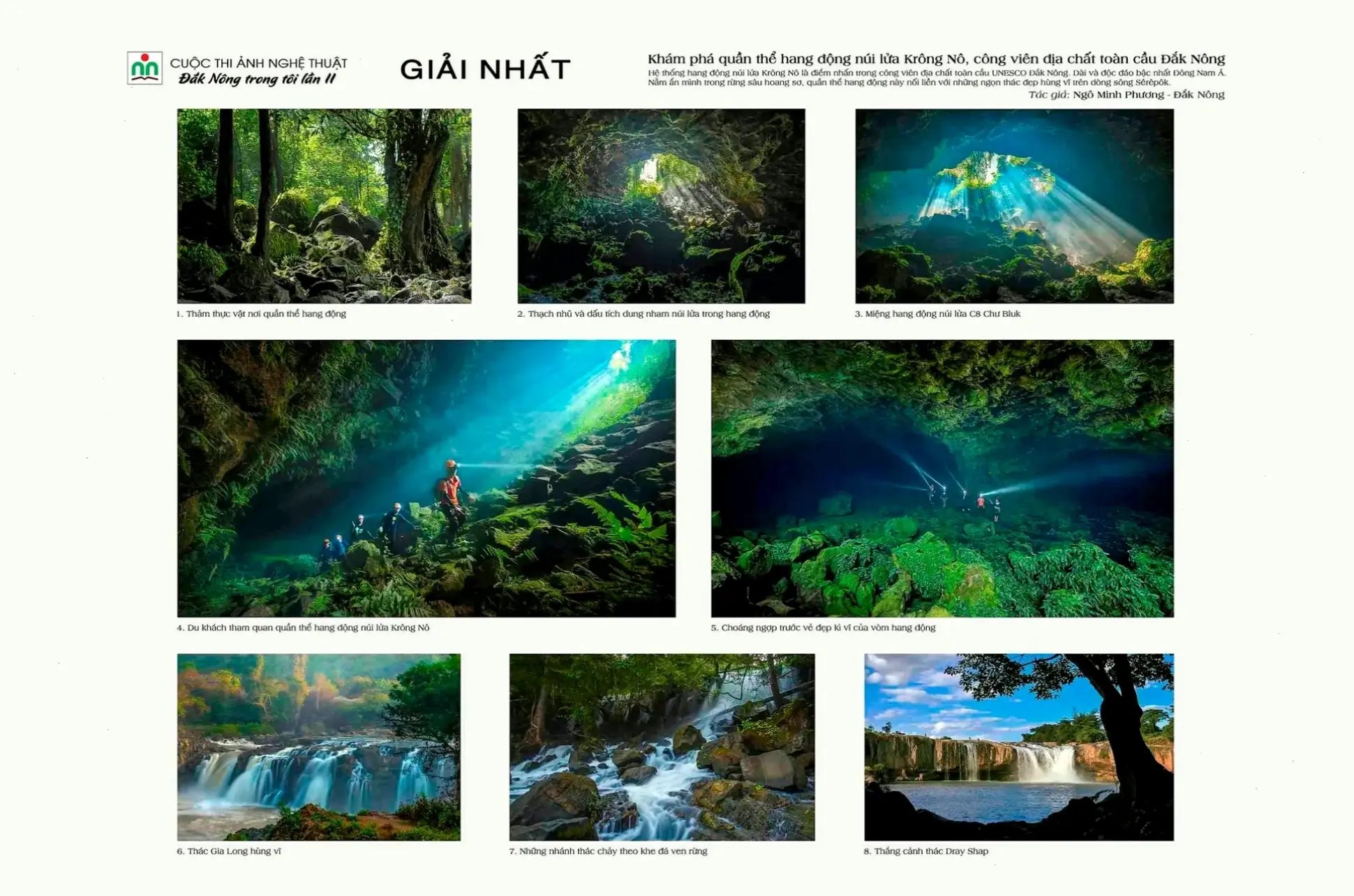 Các giải thưởng nổi bật