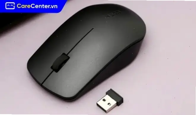 Các loại chuột không dây phổ biến