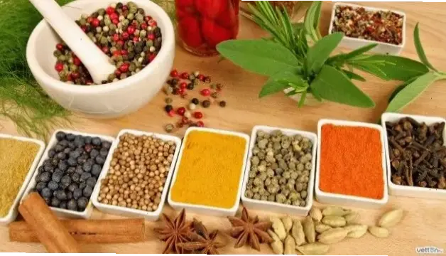 Các loại thực phẩm phổ biến