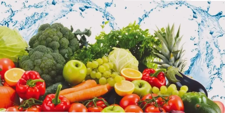 Các loại thực phẩm phù hợp