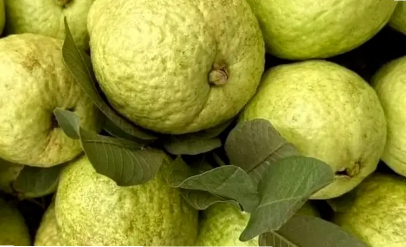 Các loại thực phẩm tăng cơ bắp