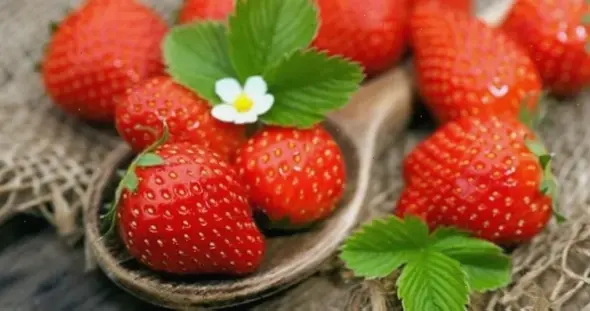 Các loại thực phẩm thiết yếu