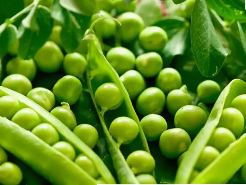 Các loại thực phẩm tốt cho tóc