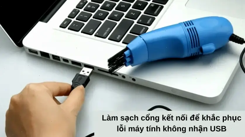 Các Lý Do Chính