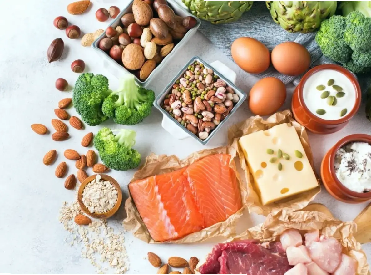 Các nguồn thực phẩm giàu protein