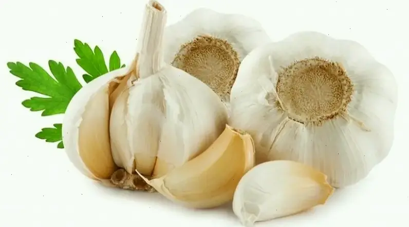 Các thực phẩm hữu ích