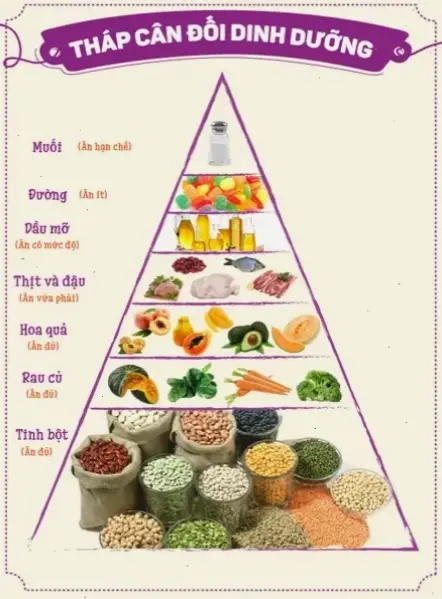 Các thực phẩm tốt cho hệ tiêu hóa