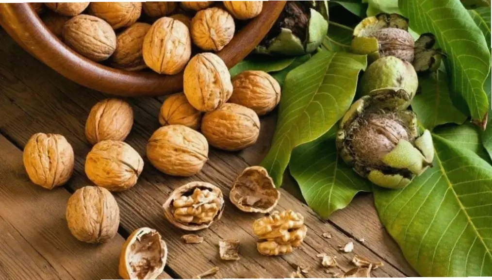 Các thực phẩm tốt cho tuần hoàn