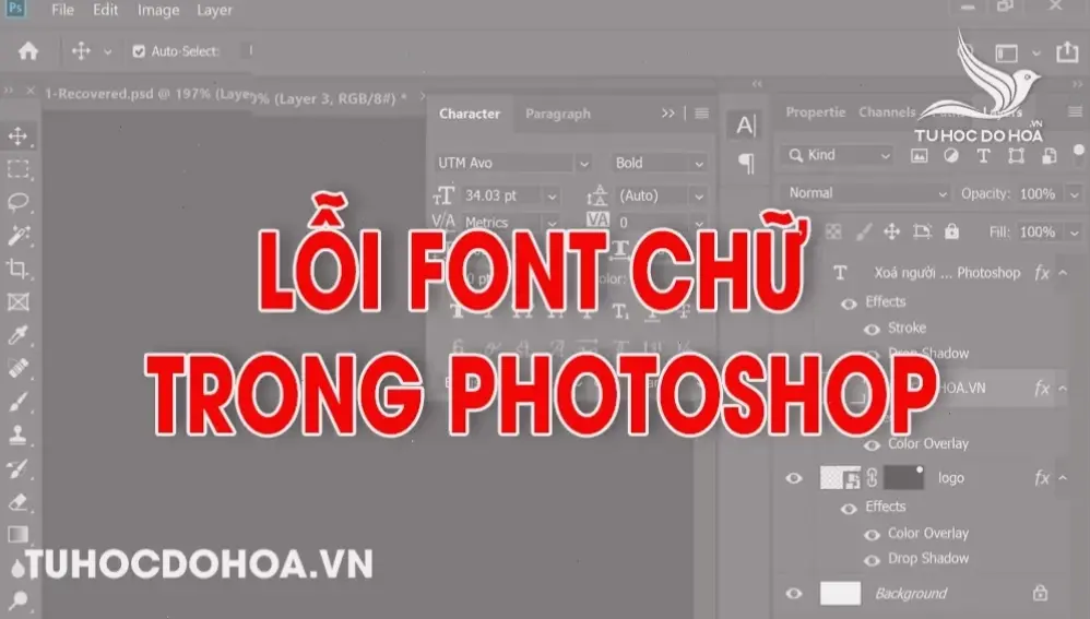 Cách khắc phục lỗi font chữ