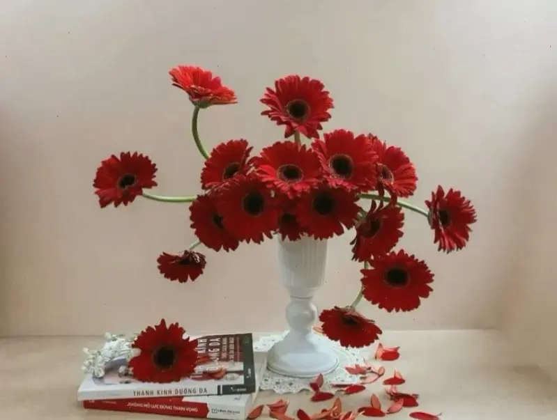 Cắm bình hoa đồng tiền tươi thắm tạo điểm nhấn trang trí độc đáo, mang đến sự tươi mới và ấm cúng cho ngôi nhà bạn.