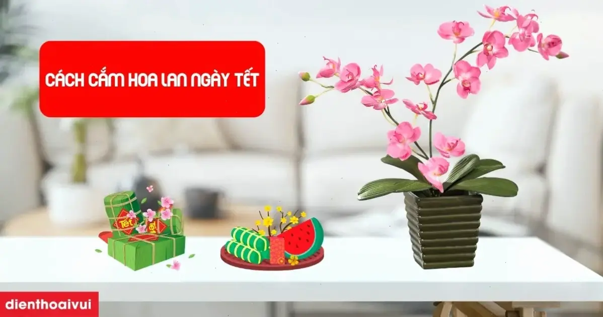 Cắm bình hoa lan đón Tết, tạo điểm nhấn đẹp mắt và ý nghĩa, mang lại niềm vui cho dịp lễ hội.