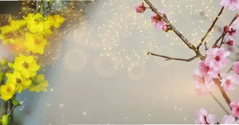 Cành hoa đào trang trí nhà cửa, tạo nên không gian Tết ấm cúng, sang trọng và đầy màu sắc quyến rũ.