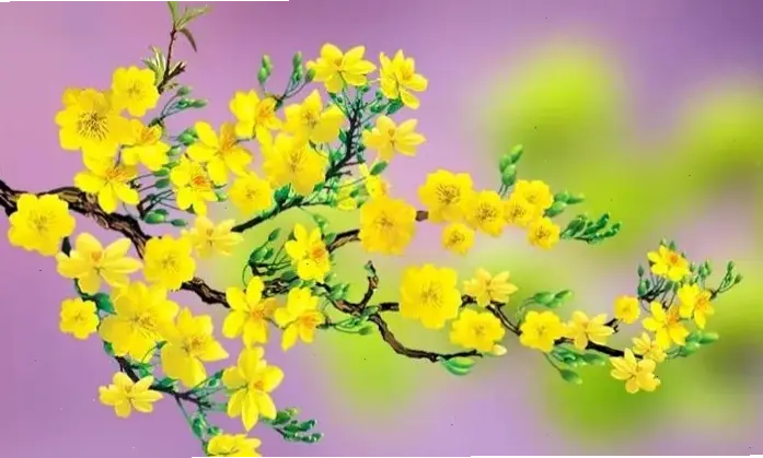Cành hoa mai trang trí Tết, thêm sắc vàng lung linh và không gian sống đầy niềm vui.