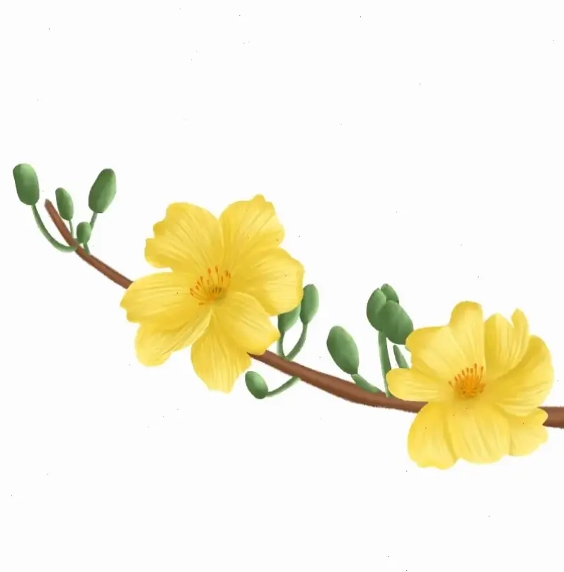 Cành hoa mai vàng xinh xắn, lý tưởng để trang trí nhà cửa, tạo không gian Tết rạng rỡ.