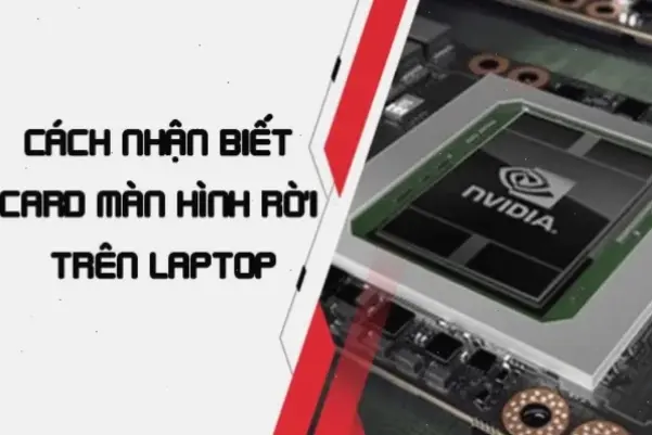 Card Màn Hình Rời Là Gì Và Tại Sao Nó Quan Trọng?