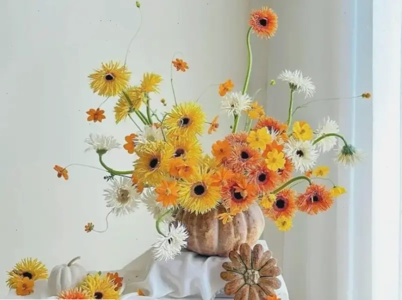 Chi tiết tinh tế của hoa đồng tiền qua ảnh cận cảnh, kỷ niệm ngày 8/3 đầy cảm xúc.