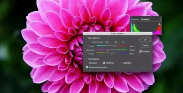 Chiêm ngưỡng chi tiết tinh tế của hoa cúc tần qua ảnh macro, mỗi cánh hoa như một kiệt tác nghệ thuật.