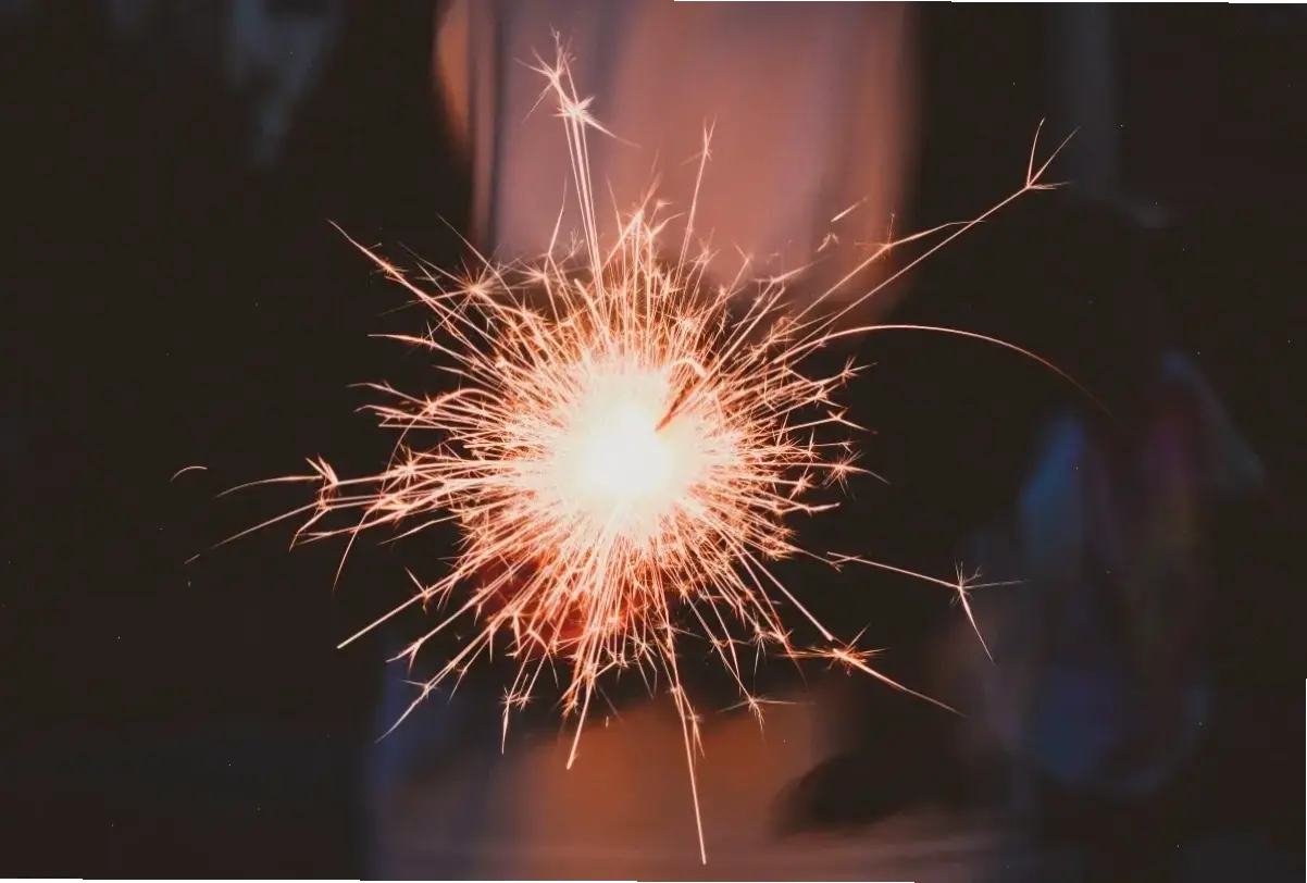 Chiêm ngưỡng chi tiết tinh tế của hoa xác pháo qua ảnh macro, khám phá vẻ đẹp ẩn giấu.