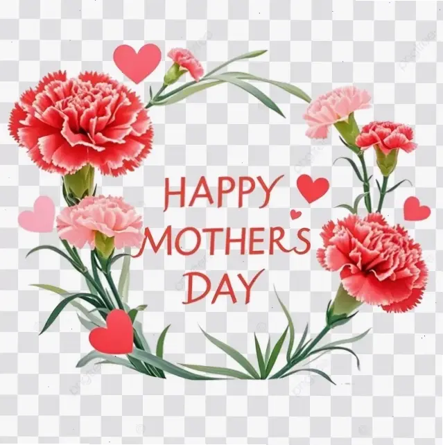 Chúc mừng mọi sự kiện với hoa cẩm chướng, biểu tượng niềm vui và thành công rạng rỡ.