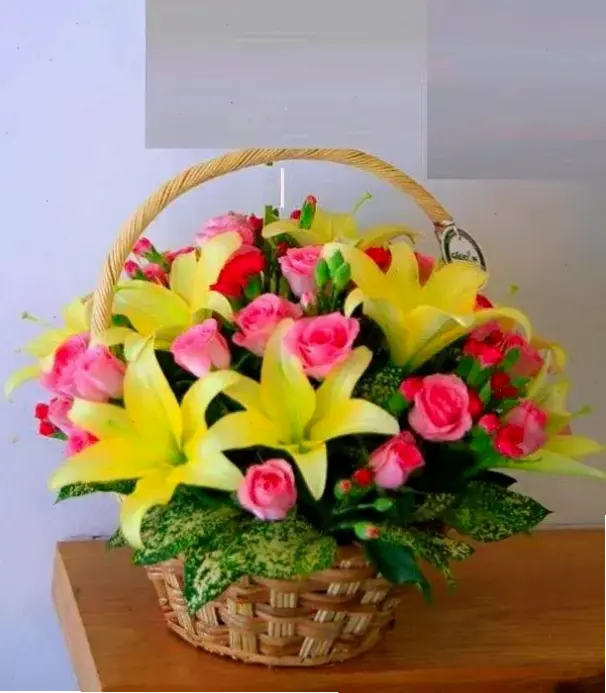 Chúc mừng sự kiện đặc biệt bằng hoa cát tường, thể hiện niềm vui và lời chúc tốt đẹp.