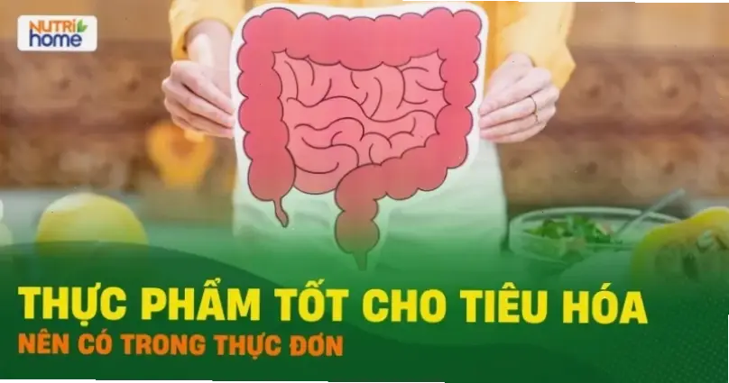 Giới thiệu