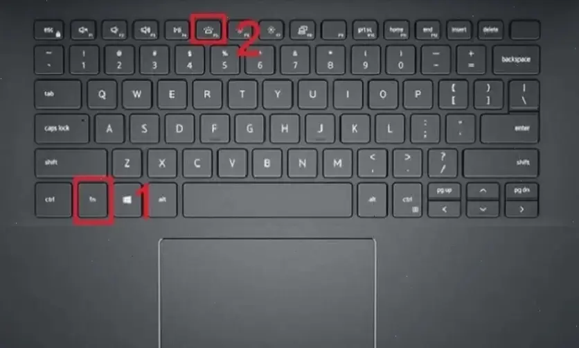 Giới Thiệu Về Tính Năng Đèn Bàn Phím Trên Laptop