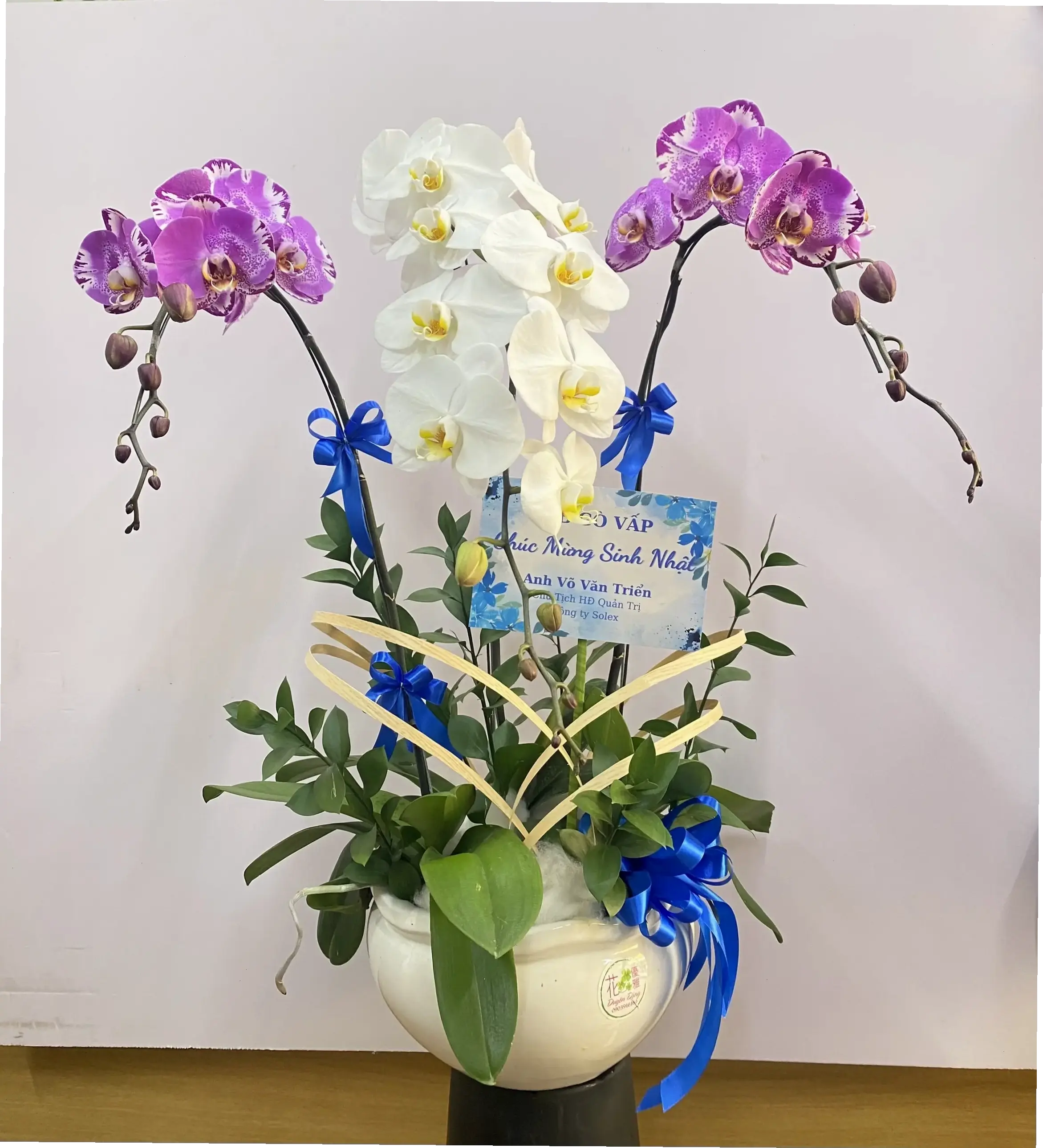 Gửi bó hoa lan để chúc mừng cưới, biểu hiện tình yêu và lời chúc phúc chân thành nhất.
