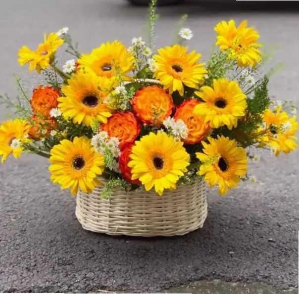 Gửi lời chúc mừng ấm áp với hoa đồng tiền rực rỡ, biểu tượng của sự thành công và hạnh phúc trong mọi dịp đặc biệt.