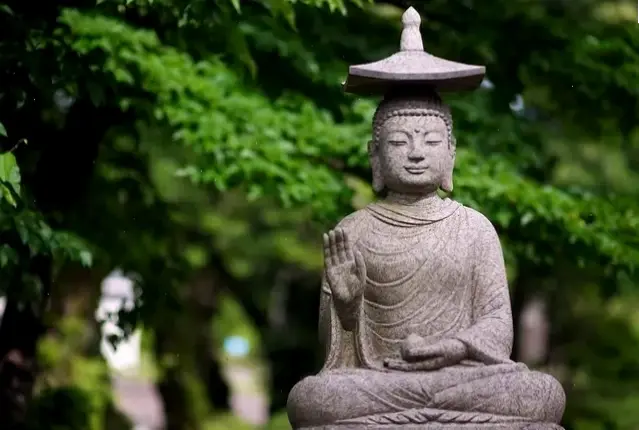 Hành trình tâm linh qua hình ảnh Phật Việt Nam, khơi dậy sự giác ngộ và bình an trong lòng.