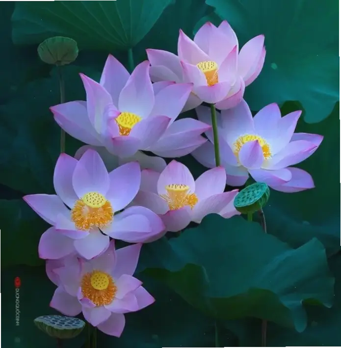 Hình ảnh hoa sen biểu tượng tâm linh, phù hợp để trang trí không gian thờ cúng thanh tịnh.