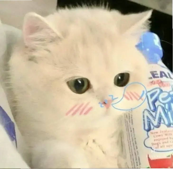 Khám phá avatar mèo vô tri cute siêu dễ thương, mang niềm vui ngập tràn! Làm sáng màn hình và khiến ngày bạn thêm phần thú vị.