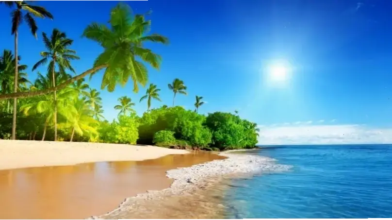 Hình nền biển đêm huyền bí với ánh sao lấp lánh, mang đến không gian yên bình cho màn hình của bạn.